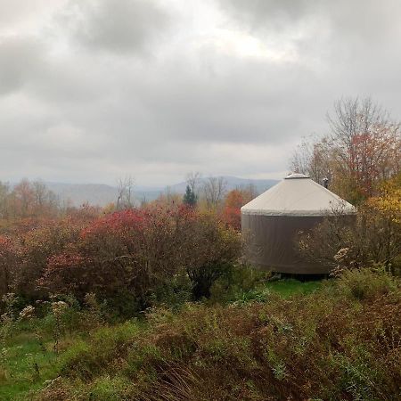 ホテル Livingston Manor Yurt Parksville エクステリア 写真