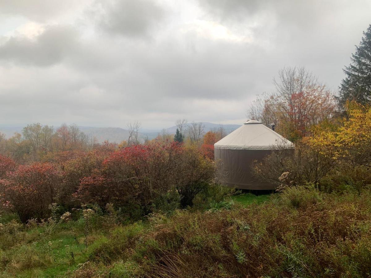 ホテル Livingston Manor Yurt Parksville エクステリア 写真