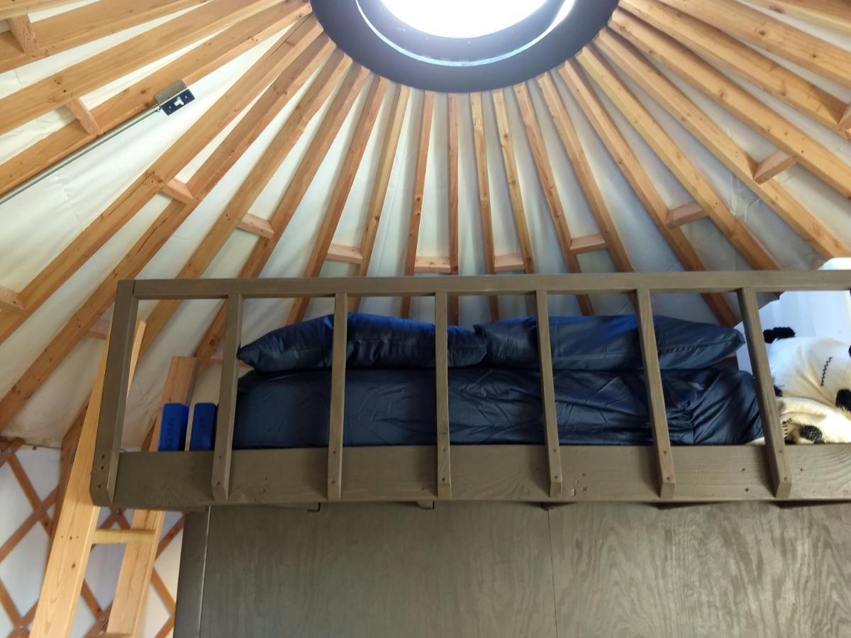 ホテル Livingston Manor Yurt Parksville エクステリア 写真
