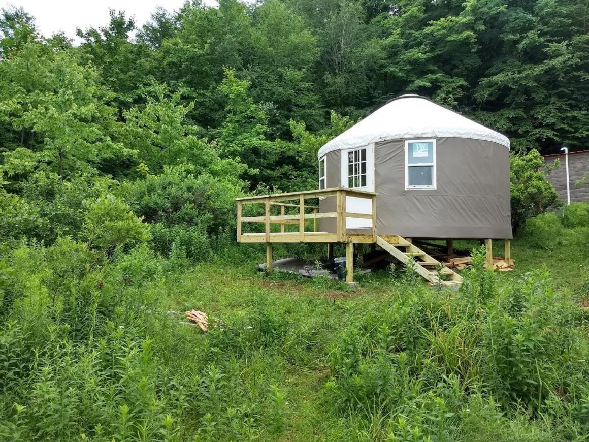 ホテル Livingston Manor Yurt Parksville エクステリア 写真